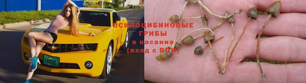 бутират Богородицк